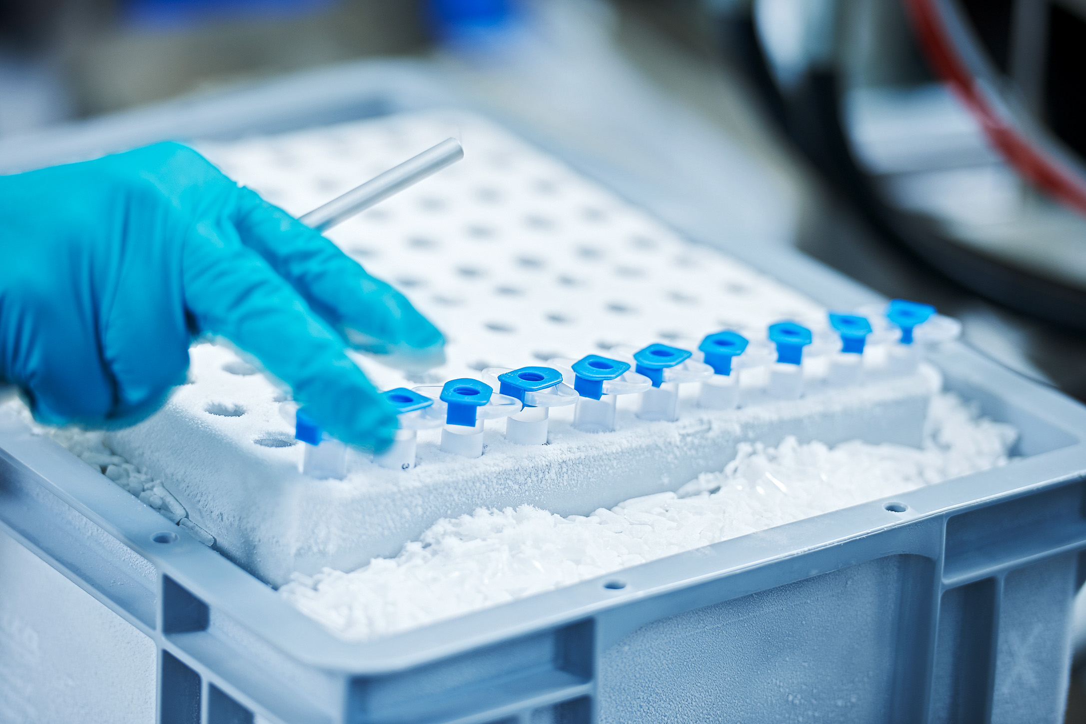 Tiefgefrorene Klebstoffe