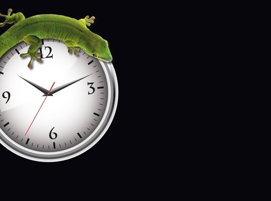 VERARBEITUNGSHINWEISE 